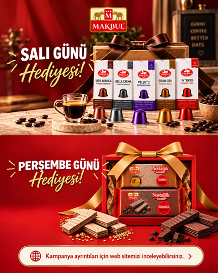 15-17 Eylül Kampanyası