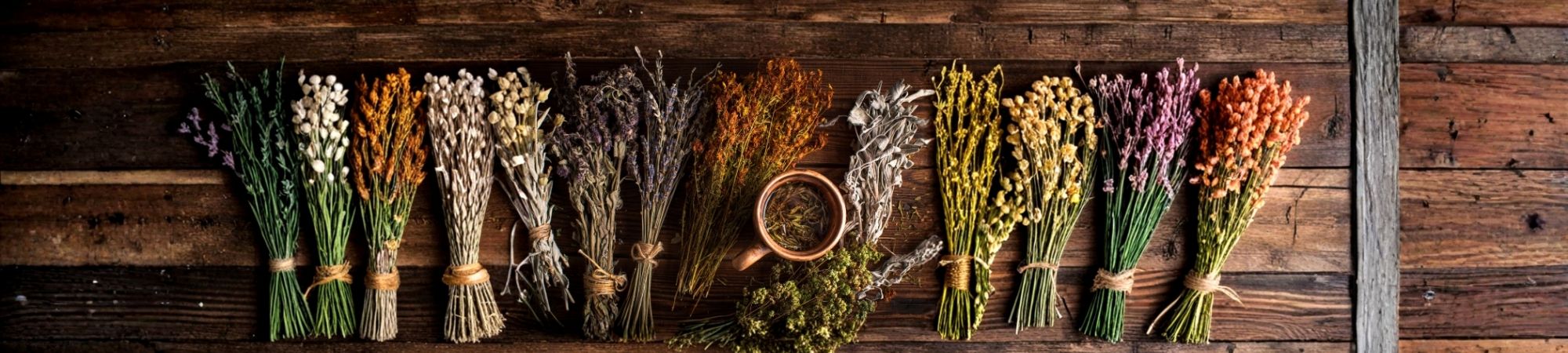 Bitkisel Çözümler